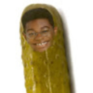 Meet your Posher, Daisy